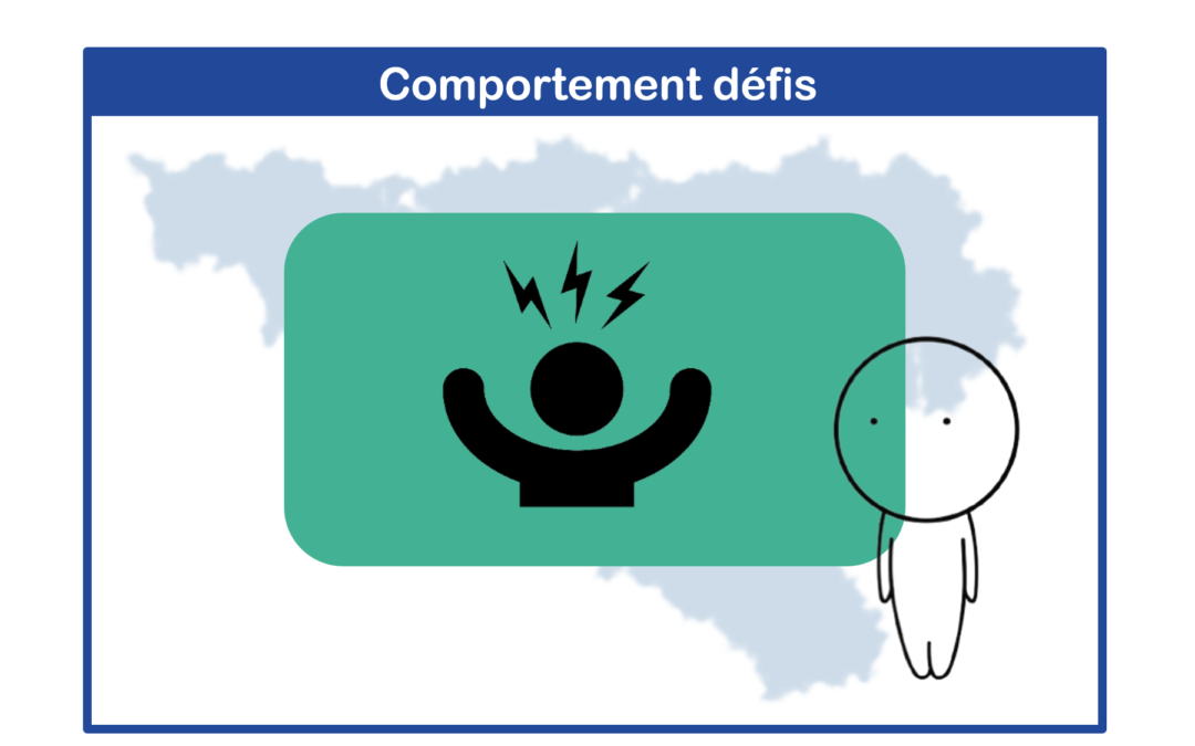 Formations – Comportements défis